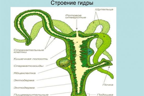 Кракен тг маркетплейс