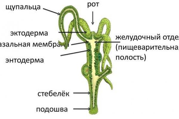 Кракен зеркало на тор